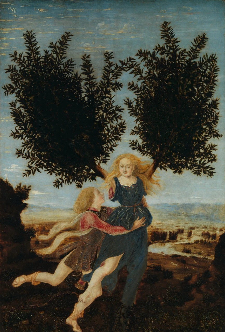 《 阿波羅與達芙妮 》皮耶羅 •德爾 • 波萊烏洛（約 1441-1496 年前）可能作於 1470-1480年 木板油畫 英國國家美術館，1876 年韋恩•埃利斯遺贈 NG 928 ©英國國家美術館