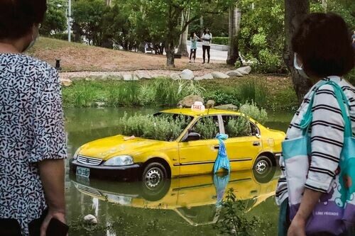 自然與訊號之間 —— 未來已讀之前，重新感知電的溫度