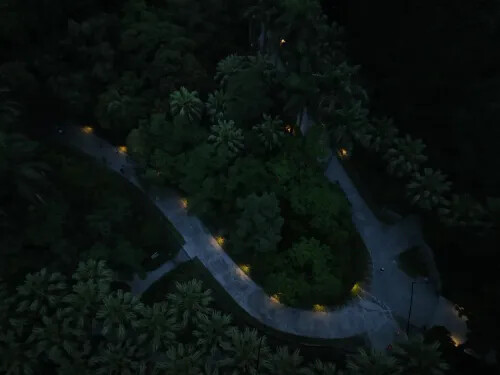 與環境共生的月光椰影 —— 台北植物園植光步道正式亮相