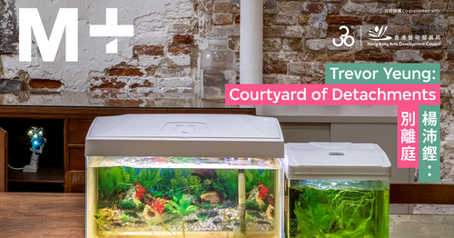 在空魚缸中映見人心 —— 走入《楊沛鏗：別離庭》的藝術沉思