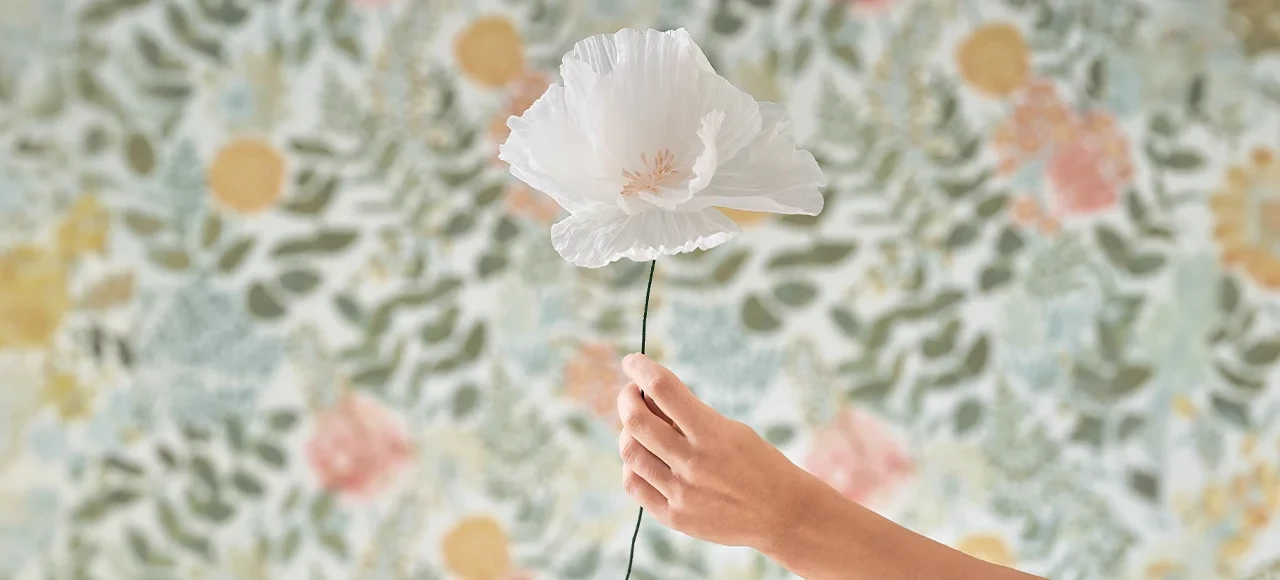 綻放吧！詩意柔和的花卉能量